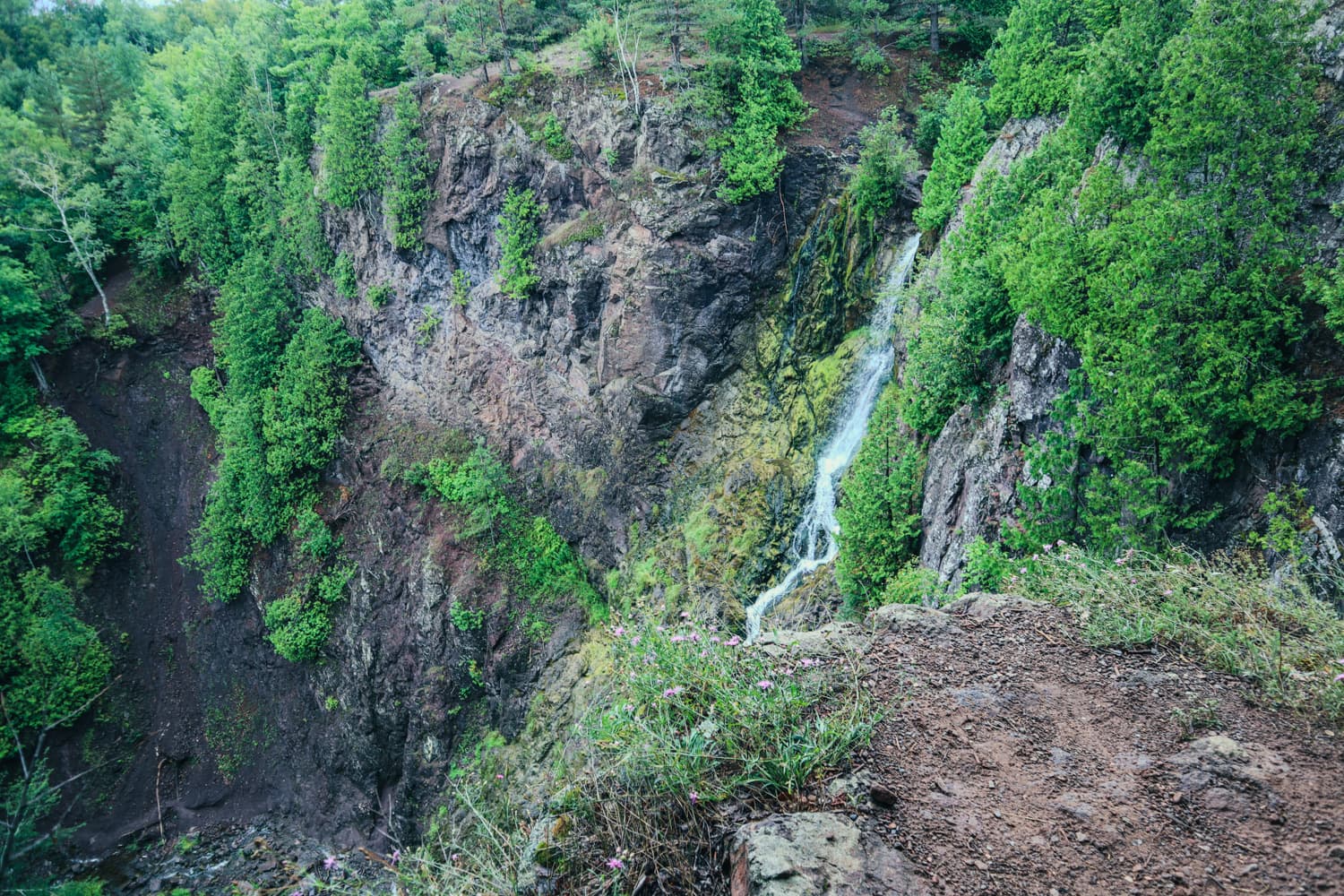 View down into the rocky, forested gorge at Houghton Douglass Falls from the rim