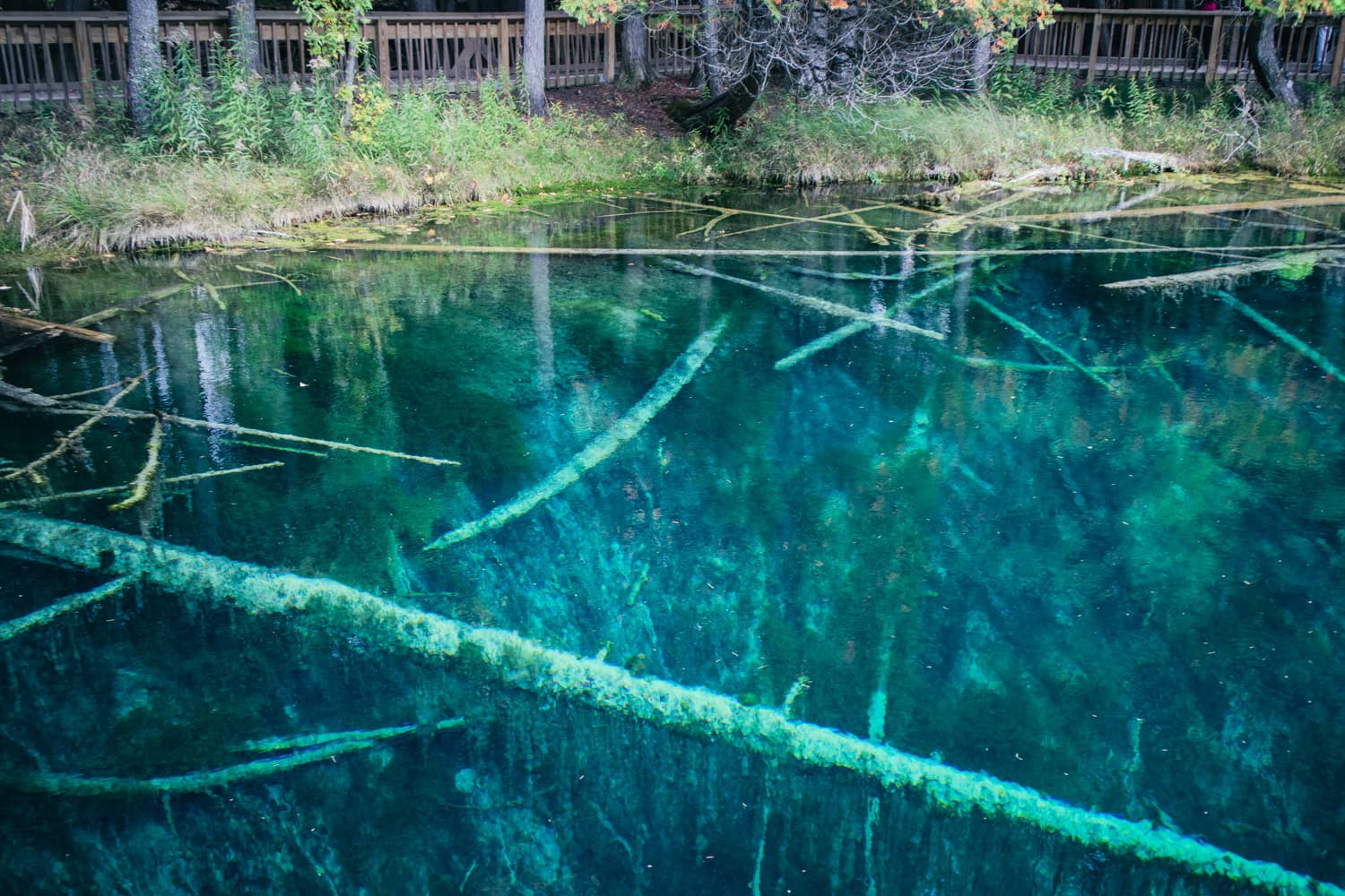 Moss-covered logs lying deep under crystal-clear water at Kitch-iti-kipi