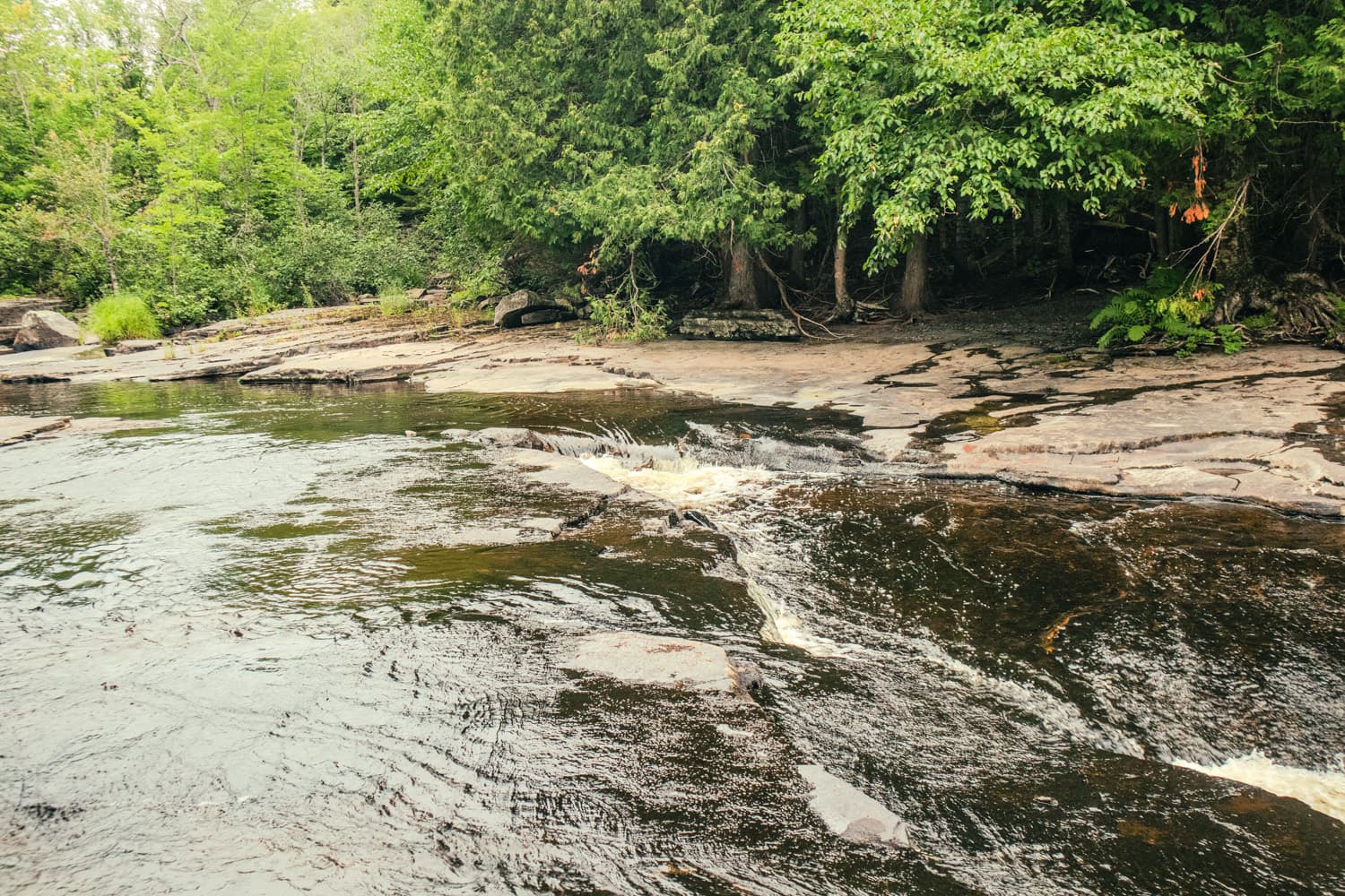 Shallow rapids running over flat rock shelves on the Sturgeon River near Canyon Falls