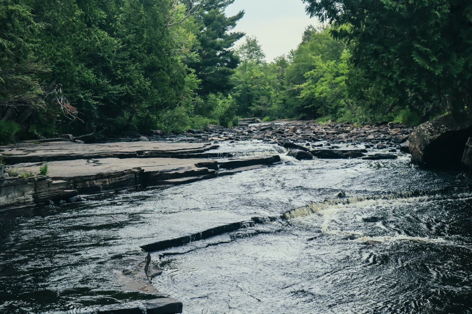 Wide view of the Sturgeon River flowing over flat rock ledges toward the forest at Canyon Falls