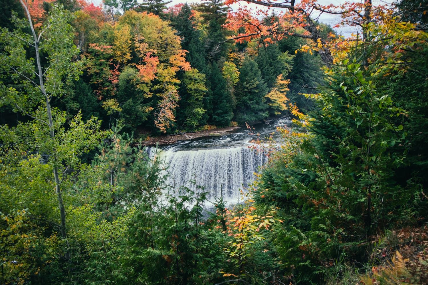 Upper Tahquamenon Falls surrounded by bright fall color in the Tahquamenon River gorge