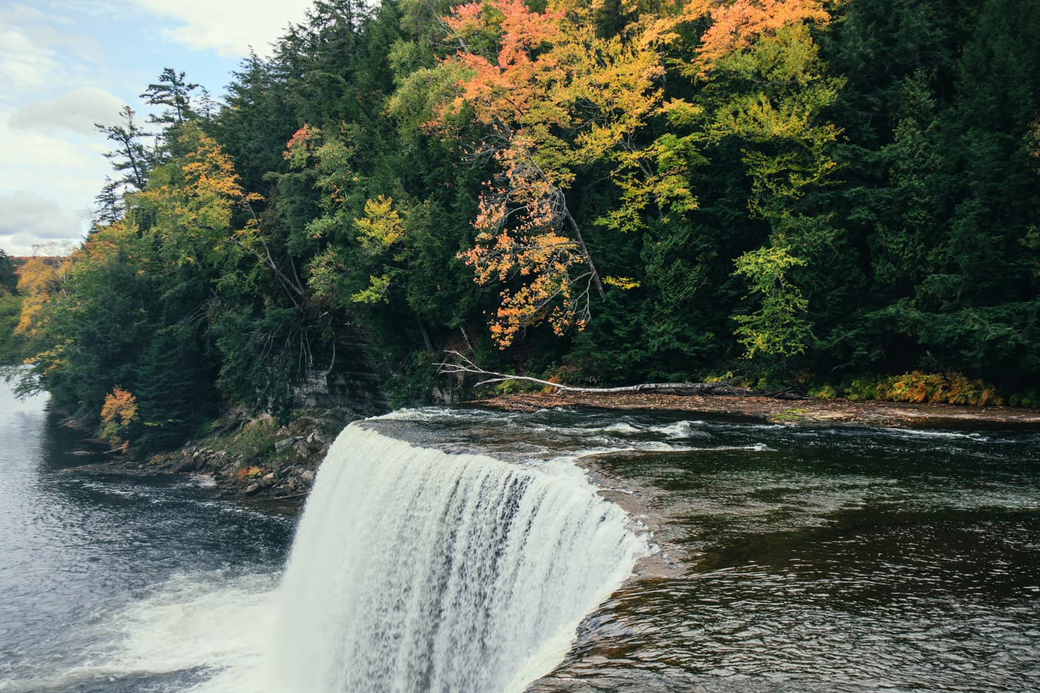 Amber, root-beer-colored water curling over the brink of Upper Tahquamenon Falls under fall-colored trees