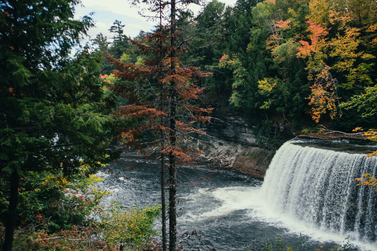 Upper Tahquamenon Falls framed by pine trees and early fall color