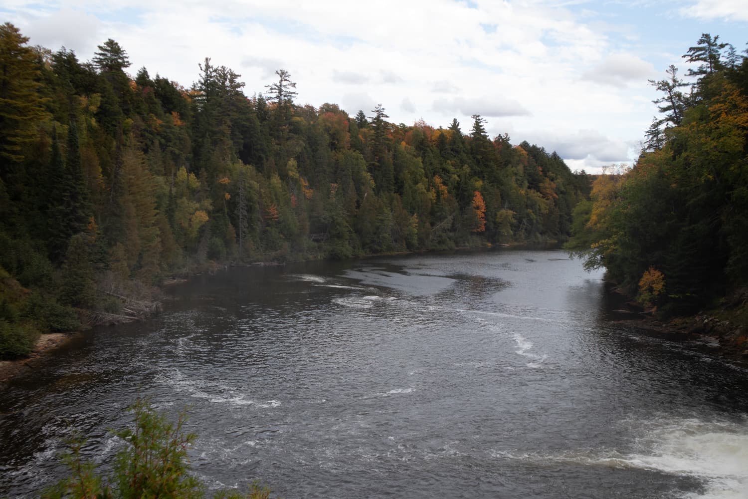 The wide Tahquamenon River downstream of the Upper Falls, lined with fall-colored forest